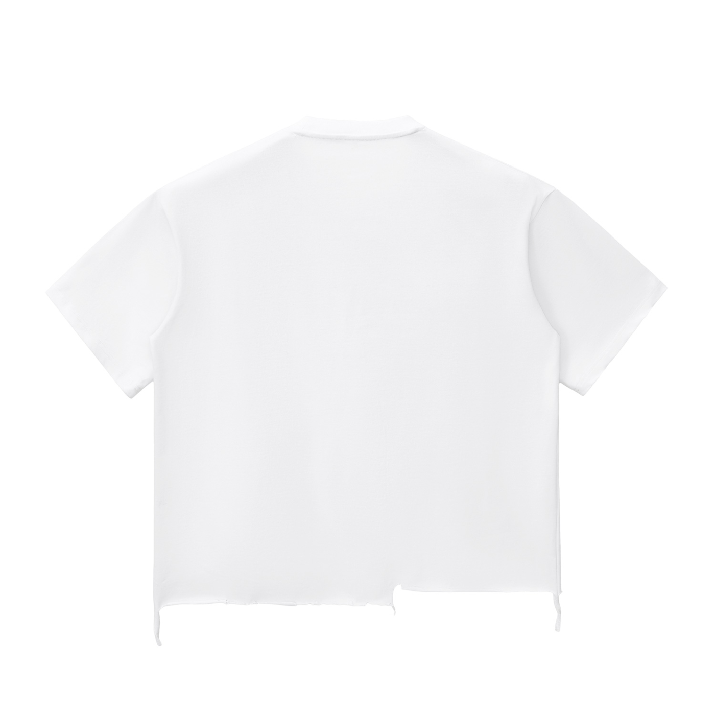 Raw Ascent Tee