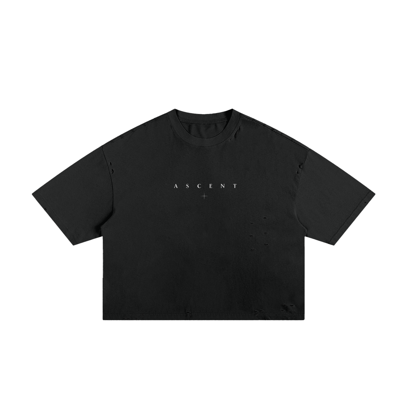 Frayed Boxy Ascent Tee