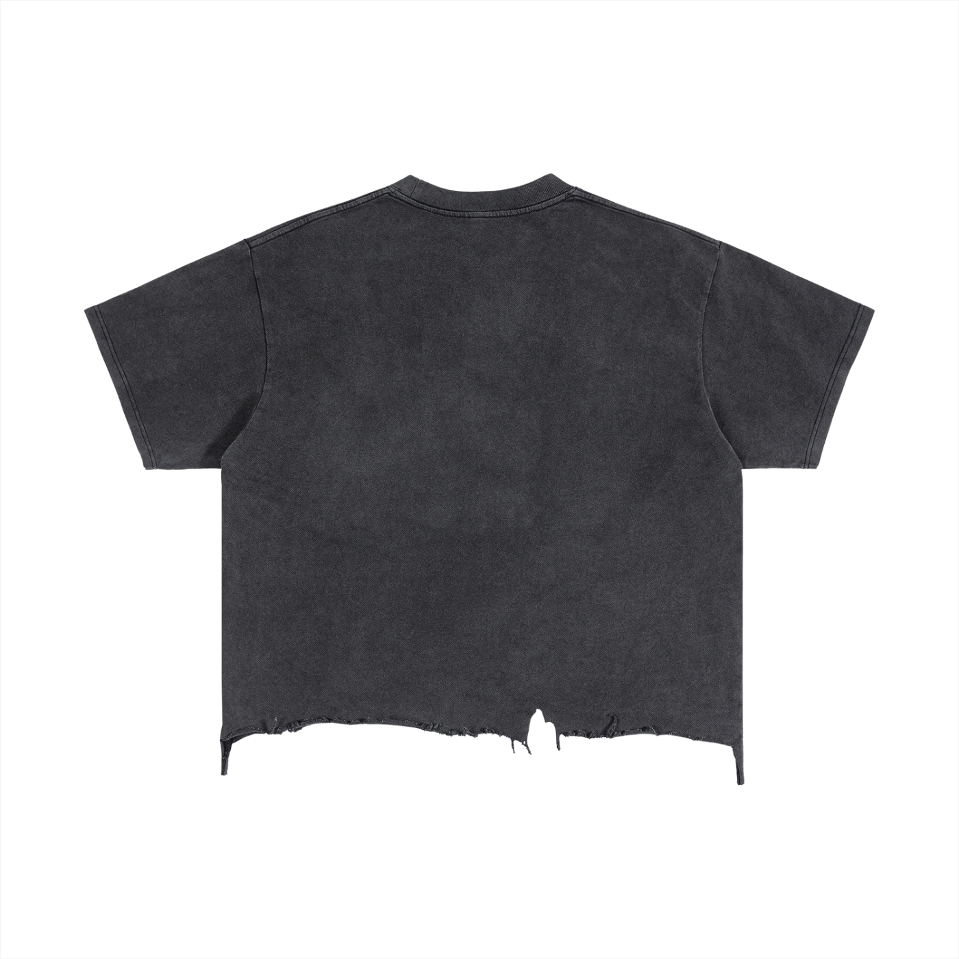 Raw Ascent Tee