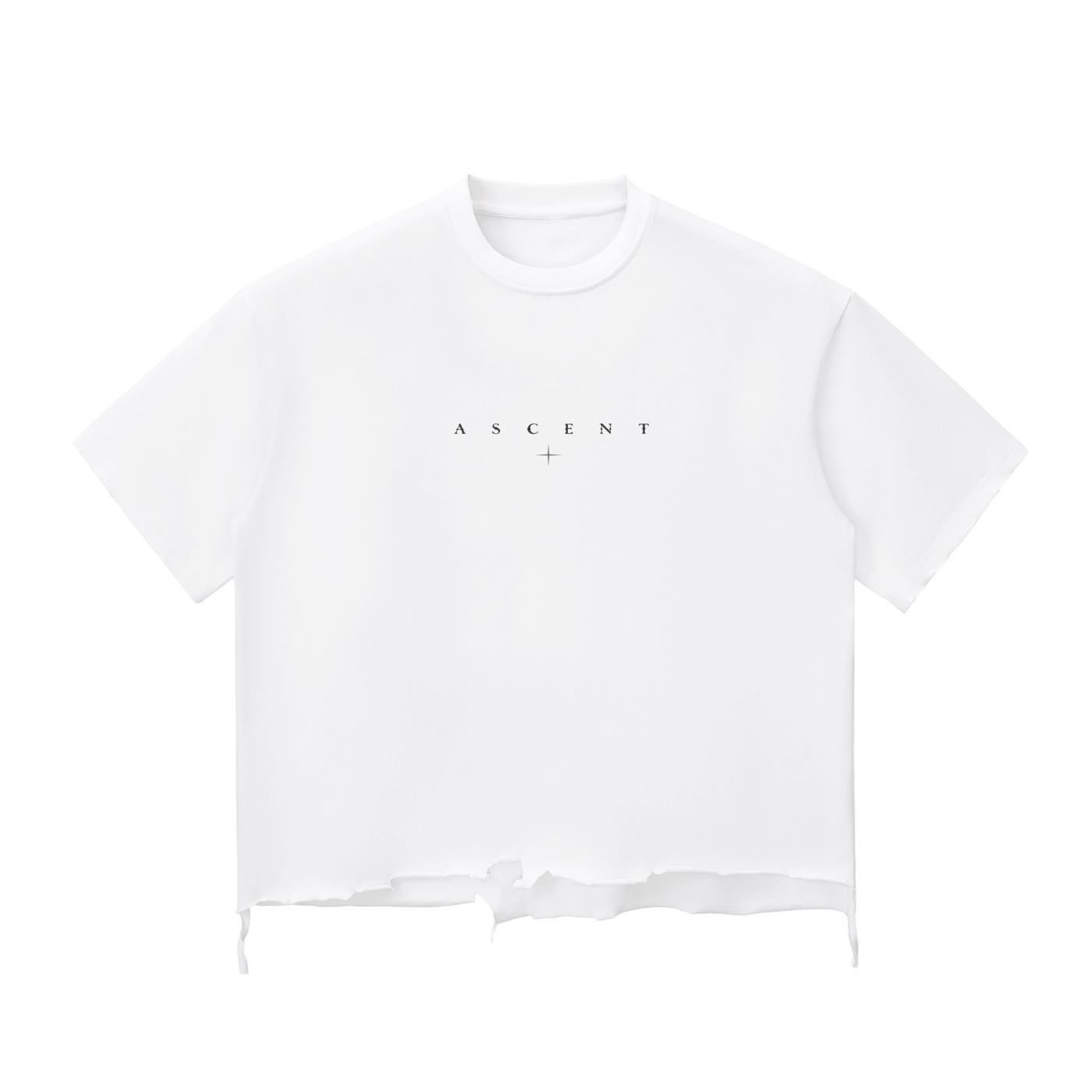 Raw Ascent Tee