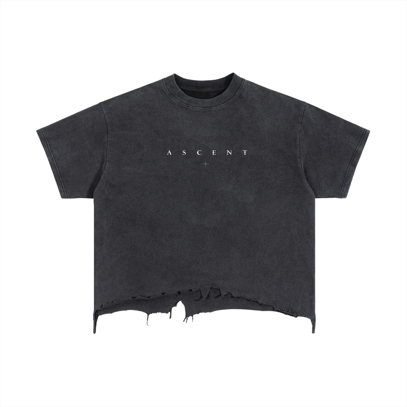 Raw Ascent Tee