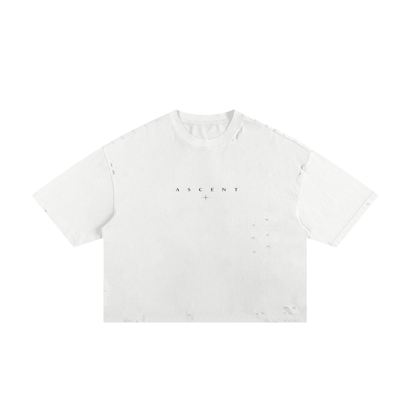 Frayed Boxy Ascent Tee